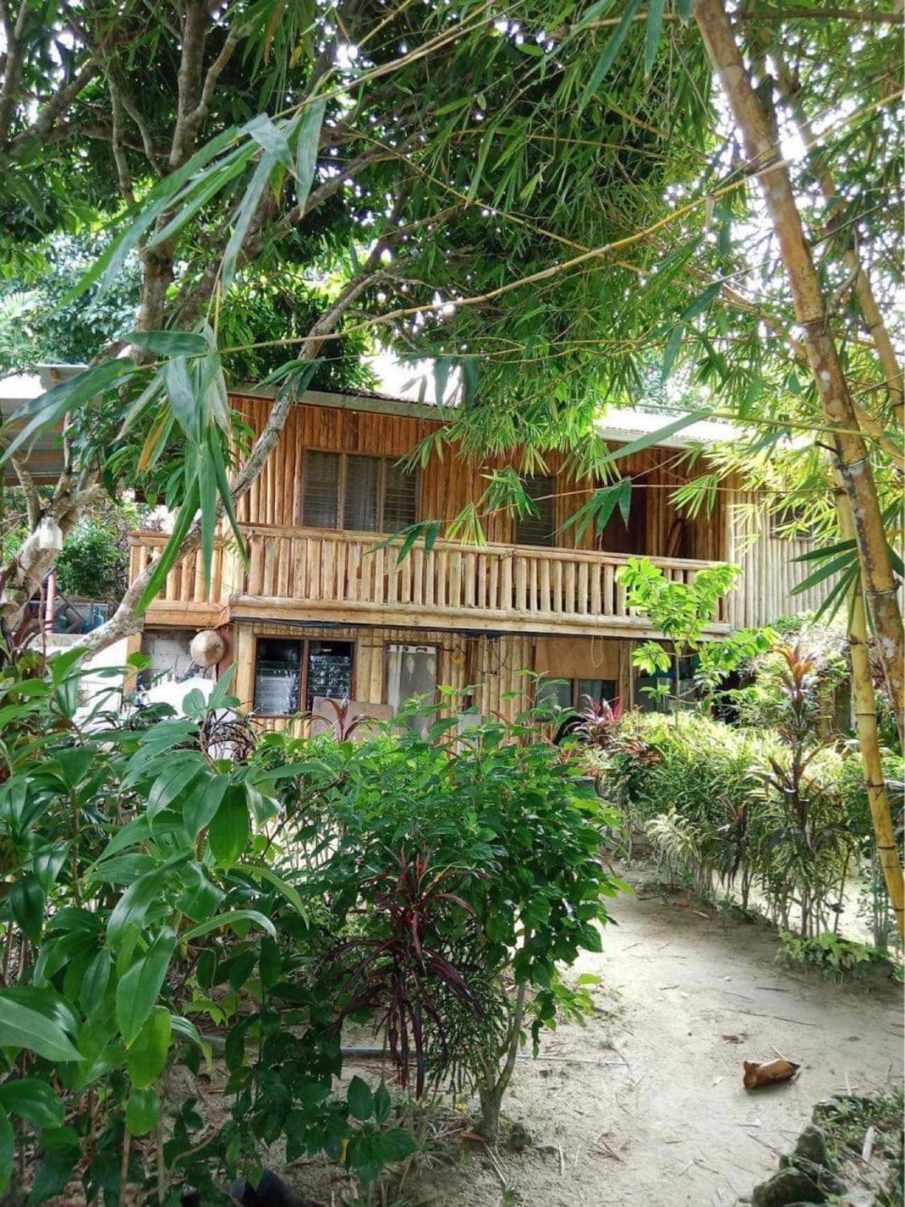 Port Barton - Paradiso Azul Campsite Beachfront With Internet San Vicente  Εξωτερικό φωτογραφία