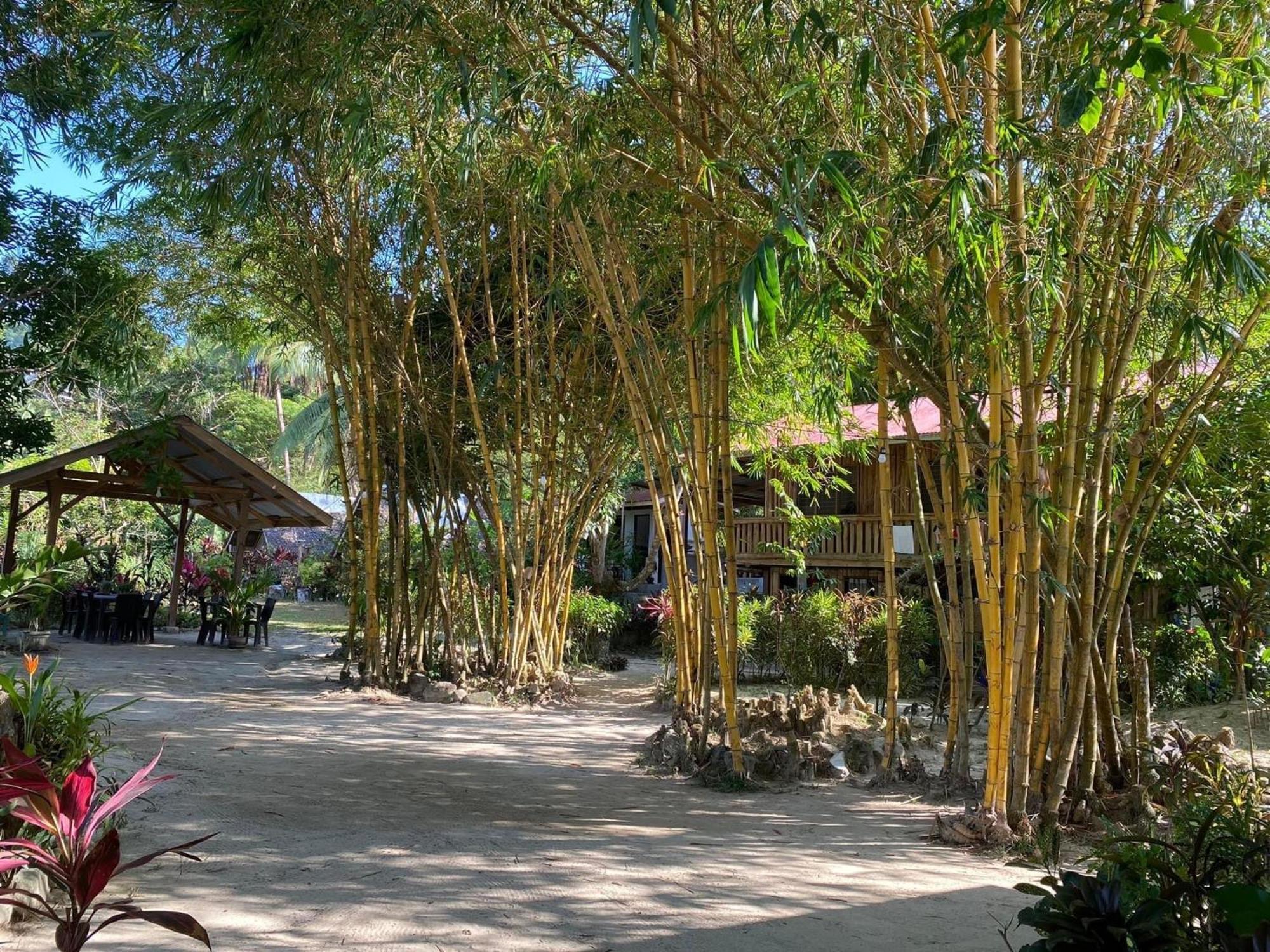 Port Barton - Paradiso Azul Campsite Beachfront With Internet San Vicente  Εξωτερικό φωτογραφία